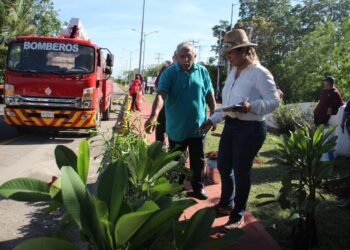 ¿Cómo se construye una ciudad más verde? Tenabo da una respuesta