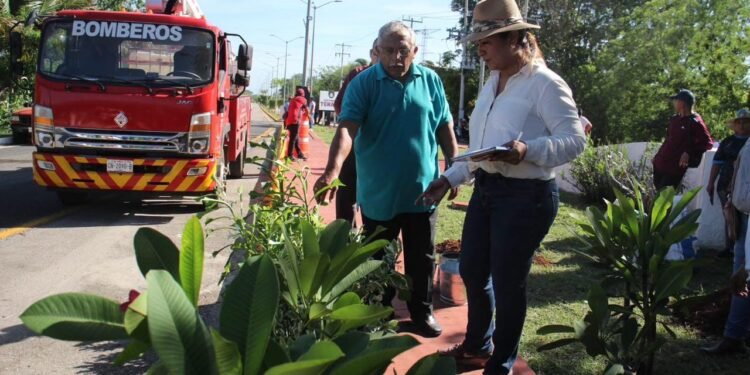 ¿Cómo se construye una ciudad más verde? Tenabo da una respuesta