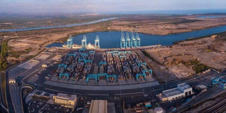 Más de 100 autobuses nuevos, varados en el Puerto de Lázaro Cárdenas, ¿por qué?