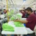 Campeche recupera la maquila: Puma regresa con millonaria inversión y empleos