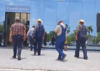 Sin poder trabajar sus tierras, menonitas llevan su caso al Palacio de Gobierno