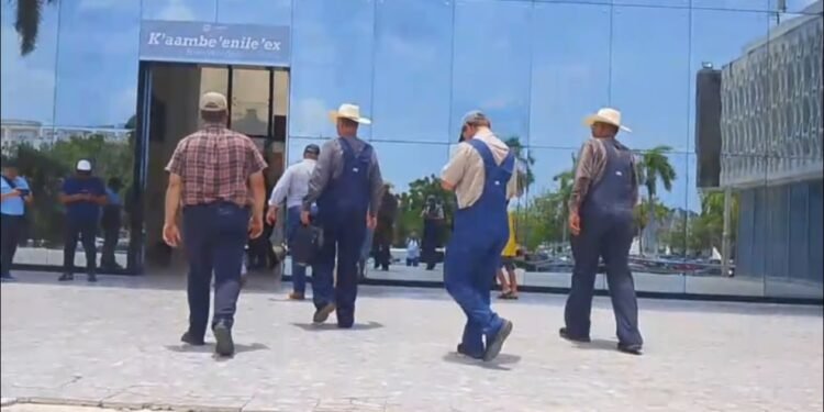 Sin poder trabajar sus tierras, menonitas llevan su caso al Palacio de Gobierno