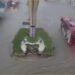 ¿Campeche bajo el agua? Lluvias colapsan vialidades y activan operativo de seguridad