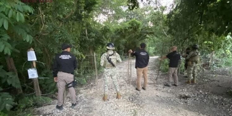 ¿Golpe al huachicol? La FGR asegura combustible y 12 vehículos en Escárcega