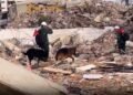 Veintiún sobrevivientes cambian el rumbo de los rescates en Venezuela