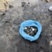 Operación Salvavidas Verano 2026 permite rescatar 39 huevos de tortuga marina
