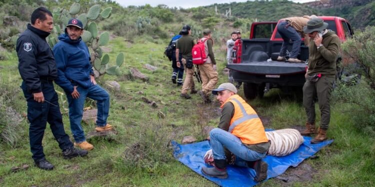 Así cayó el tigre de bengala que escapó y movilizó a decenas de rescatistas en Edomex