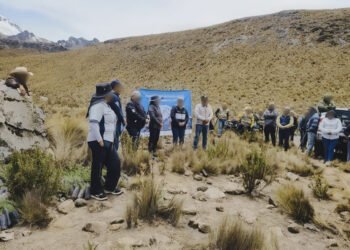 ¿Por qué es clave plantar árboles en el Pico de Orizaba? Buscan recuperar el bosque