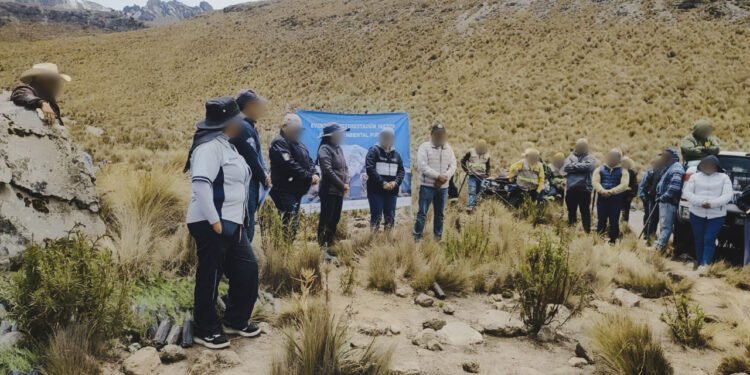¿Por qué es clave plantar árboles en el Pico de Orizaba? Buscan recuperar el bosque