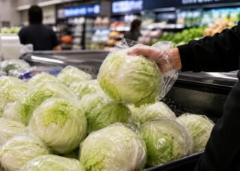 ¿Siempre no fue la lechuga mexicana? FDA confirma falso positivo, pero mantiene abierta investigación por “diarrea explosiva”