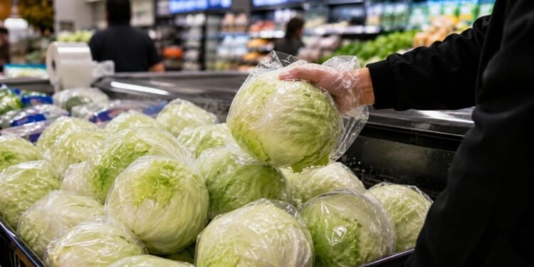 ¿Siempre no fue la lechuga mexicana? FDA confirma falso positivo, pero mantiene abierta investigación por “diarrea explosiva”
