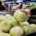 ¿Siempre no fue la lechuga mexicana? FDA confirma falso positivo, pero mantiene abierta investigación por “diarrea explosiva”