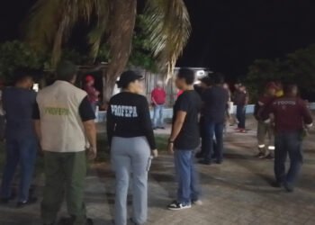 Frenan daños ambientales; clausuran actividades ilegales en Bala’an K’aax