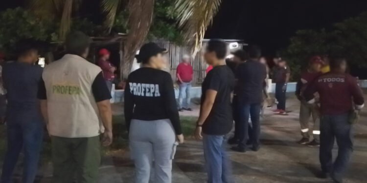 Frenan daños ambientales; clausuran actividades ilegales en Bala’an K’aax