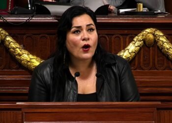 ¿Ley Anti Pedro Sola? Proponen cárcel por apología del maltrato animal