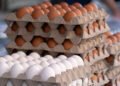 ¡Cuidado con el desayuno! Retiro masivo de huevos sacude a EU por esta razón