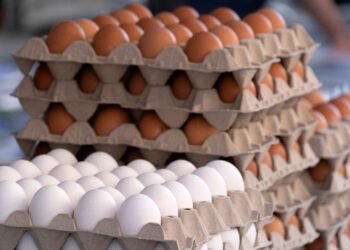 ¡Cuidado con el desayuno! Retiro masivo de huevos sacude a EU por esta razón