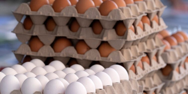 ¡Cuidado con el desayuno! Retiro masivo de huevos sacude a EU por esta razón