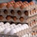 ¡Cuidado con el desayuno! Retiro masivo de huevos sacude a EU por esta razón