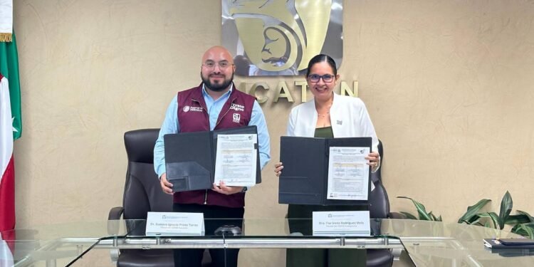 Menos espera por atención especializada: IMSS conecta a Campeche con Yucatán