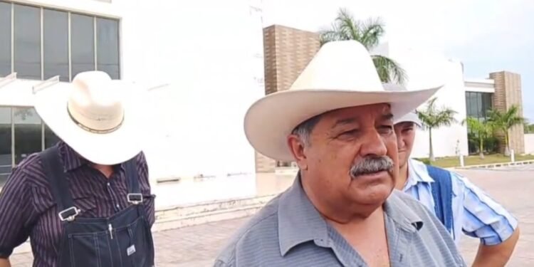 Menonitas van contra el Estado; acusan irregularidades en litigio por 500 hectáreas