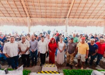 Apoyos llegan al sector pesquero; las grandes demandas siguen sin zarpar