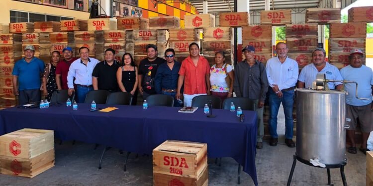 ¡Impulso a la miel campechana! Inyectan más de 670 mil pesos para fortalecer la apicultura en Champotón y Seybaplaya