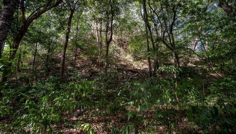 El Yesal despierta: arqueólogos descubren el enorme potencial de una ciudad olvidada