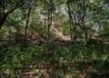 El Yesal despierta: arqueólogos descubren el enorme potencial de una ciudad olvidada