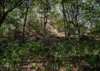 El Yesal despierta: arqueólogos descubren el enorme potencial de una ciudad olvidada