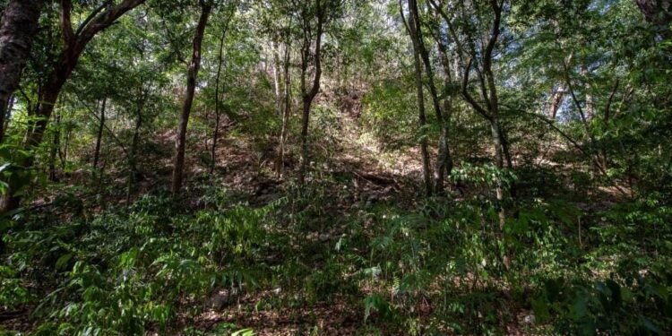 El Yesal despierta: arqueólogos descubren el enorme potencial de una ciudad olvidada