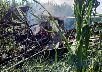 ¿Cómo sobrevivieron? Avioneta se desploma durante fumigación en Querétaro