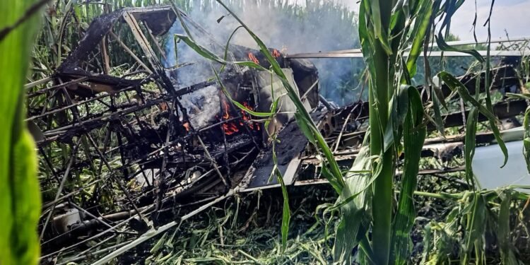 ¿Cómo sobrevivieron? Avioneta se desploma durante fumigación en Querétaro