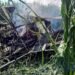 ¿Cómo sobrevivieron? Avioneta se desploma durante fumigación en Querétaro
