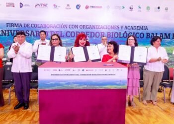 ¿Conoces Balam Beh? El corredor que protege al jaguar y transforma Campeche