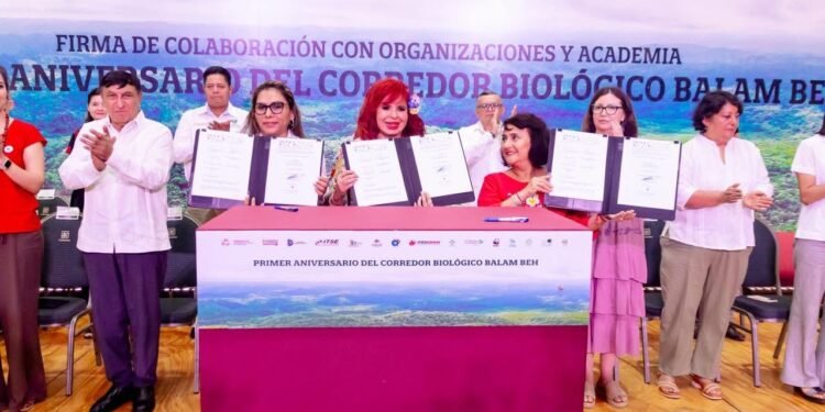 ¿Conoces Balam Beh? El corredor que protege al jaguar y transforma Campeche