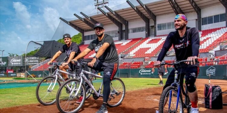 ¡Olvídate del tráfico! Así puedes recorrer Campeche gratis durante las vacaciones