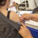 COVID en retirada: los contagios caen a niveles nunca vistos desde la pandemia
