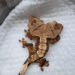 Así se ve el gecko de dos cabezas que desafía todas las probabilidades