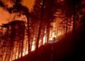 El infierno avanza en Francia: incendios obligan a un éxodo masivo