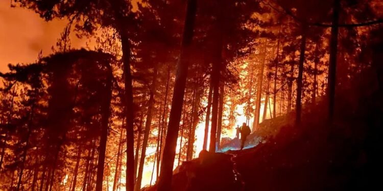 El infierno avanza en Francia: incendios obligan a un éxodo masivo