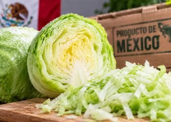 El brote de “diarrea explosiva” en EU pudo llegar a través de lechugas cultivadas en el centro de México