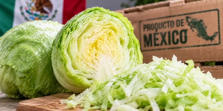 El brote de “diarrea explosiva” en EU pudo llegar a través de lechugas cultivadas en el centro de México