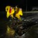 ¿La lluvia o la basura? Alcantarillas colapsadas agravan las inundaciones