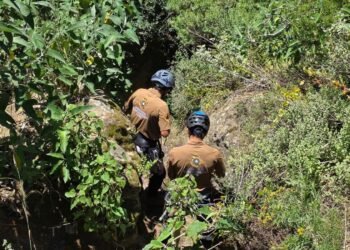 ¡Misión cumplida! Así salvaron a cinco lomitos de una muerte casi segura