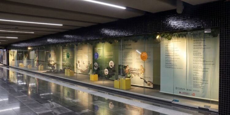 ¿Vas al Zócalo Capitalino? El viaje en Metro incluye un recorrido por la historia