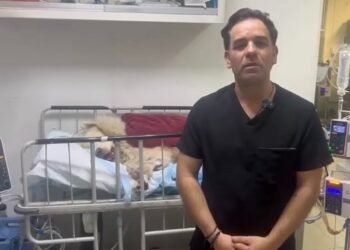 El final más triste: Rocky pierde la vida tras el ataque que estremeció al país