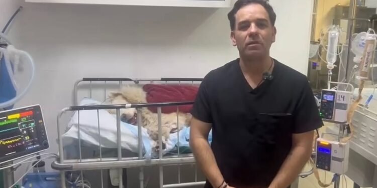 El final más triste: Rocky pierde la vida tras el ataque que estremeció al país