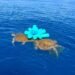 Siguen pescando sin pescadores: el peligro de las redes fantasma que casi mata a tres tortugas