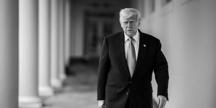 ¿Qué implica la inmunidad que pide Trump para Delcy Rodríguez?